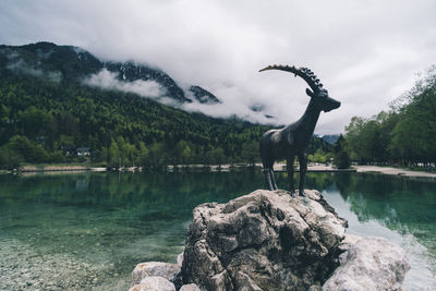 Horse standing on rock by lake against sky