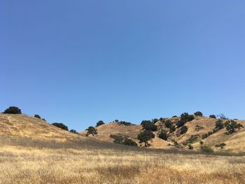 Scenic view of landscape against clear blue sky