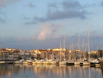 Sailboats moored at harbor against sky