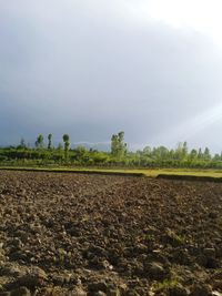 Scenic view of field against sky