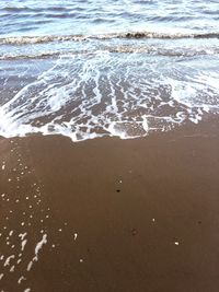 High angle view of wet beach