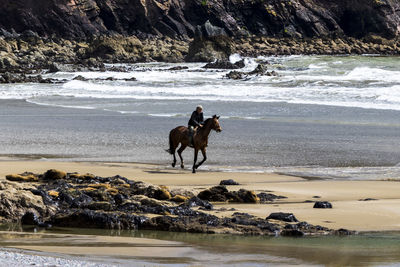 Man riding horse at beach