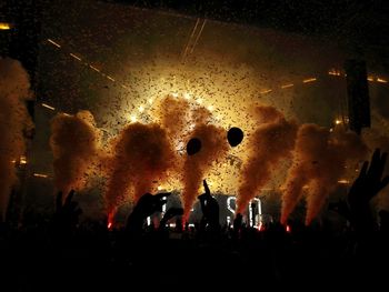 Crowd at music concert