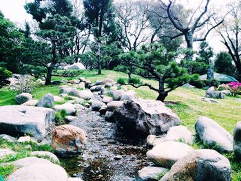Stream flowing through rocks