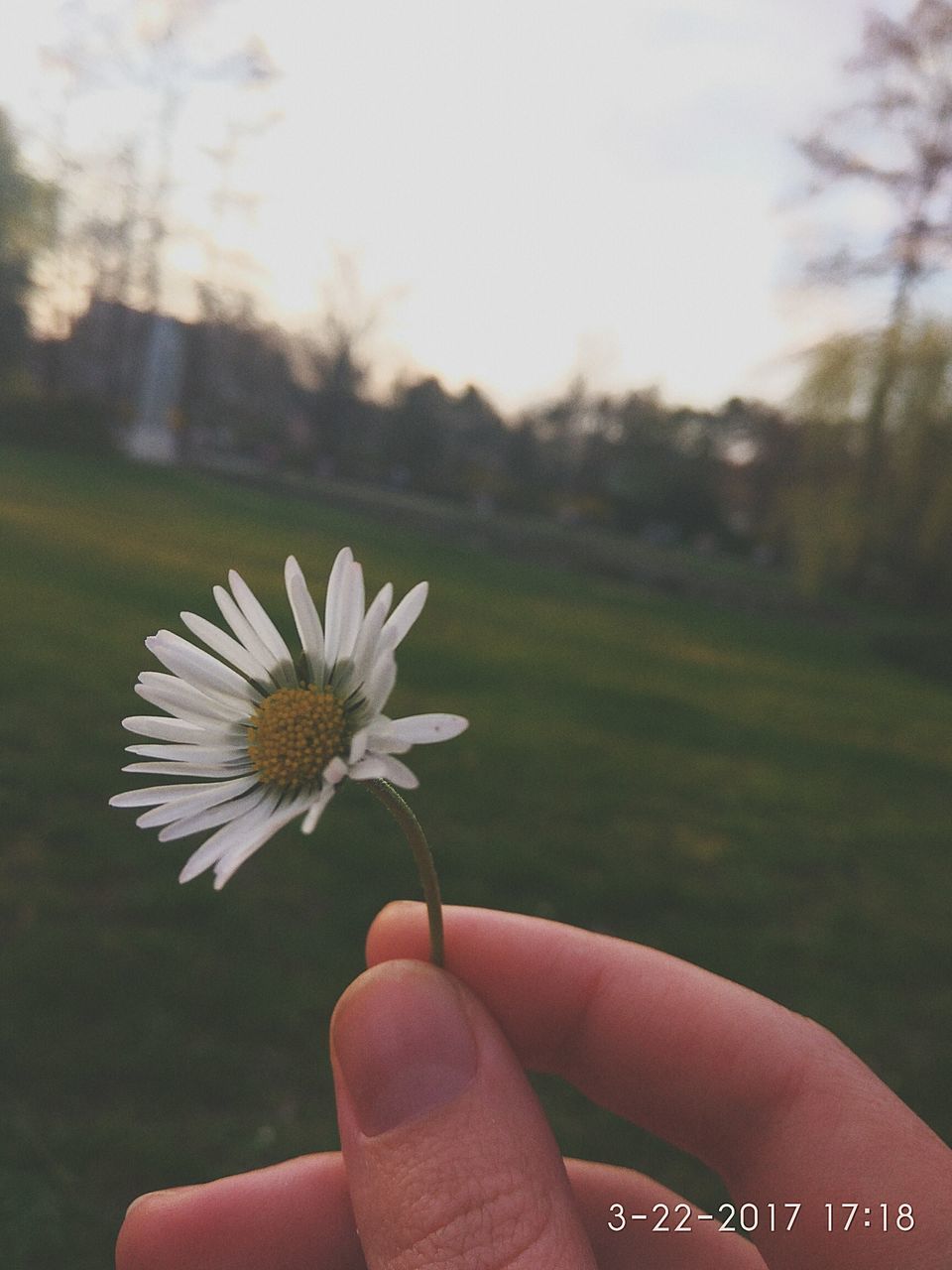 CLOSE-UP OF HAND AND FLOWER AGAINST SKY