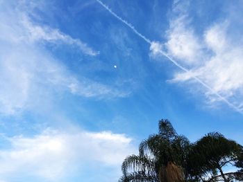 Low angle view of trees against cloudy sky
