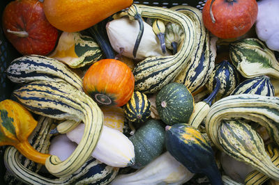 High angle view of pumpkins in market