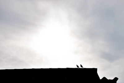 Low angle view of silhouette bird perching on building against sky