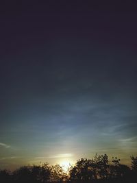 Low angle view of trees against sky during sunset