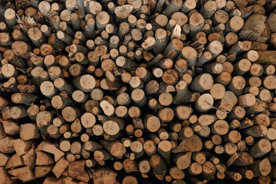 Full frame shot of logs in forest