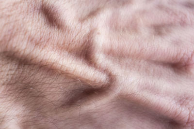 Close-up of human hand