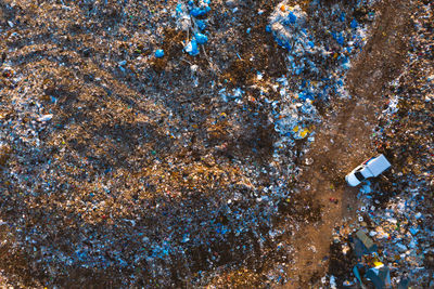 High angle view of blue water