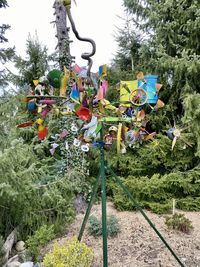 Multi colored flowering plants hanging on field by trees against sky