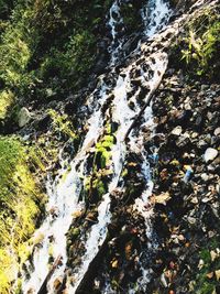 River flowing through rocks