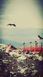 View of tree against sky