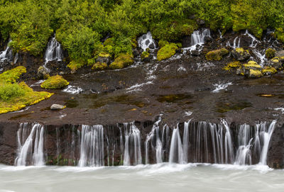 Scenic view of waterfall in forest