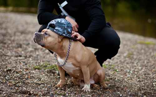 Man with dog on field