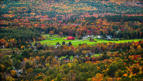 High angle view of trees on field