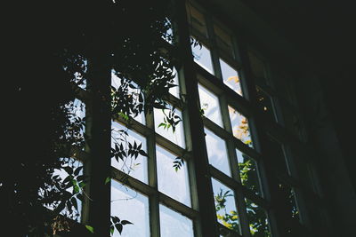 Low angle view of window