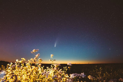 Scenic view of sea against sky at night