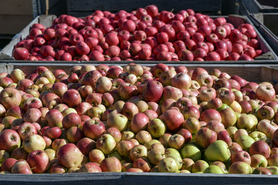 Apples for sale at market