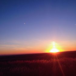Sun shining through landscape