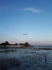 Birds flying over lake against sky