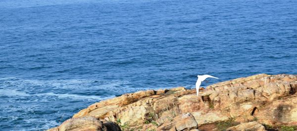 Scenic view of sea