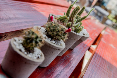 High angle view of potted plants on table