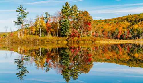 Reflection of trees in lake against sky during autumn