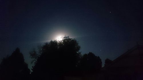 Low angle view of trees against sky