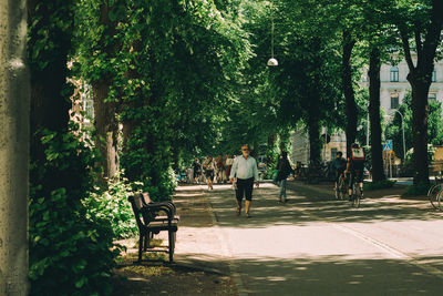 Rear view of people walking on bench in park