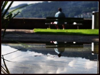 Reflection of trees in water