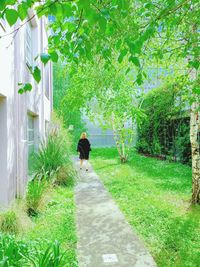 Rear view of woman walking on footpath