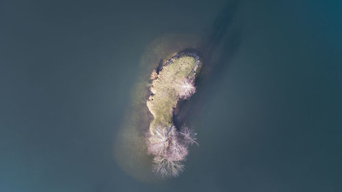 Aerial view of island amidst water