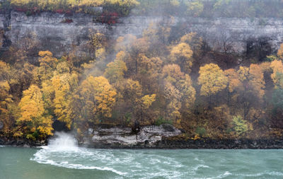 Scenic view of waterfall in forest