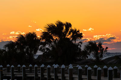 Silhouette palm trees against sky during sunset