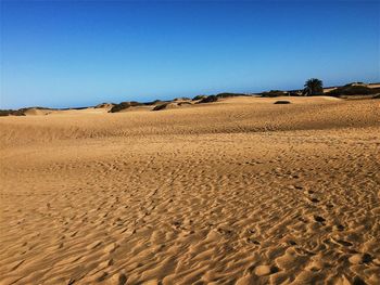 Sand dunes in desert against clear blue sky