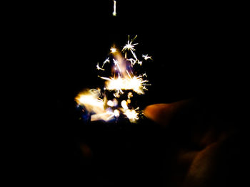 Firework display at night