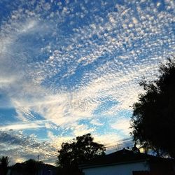 Low angle view of silhouette trees against sky