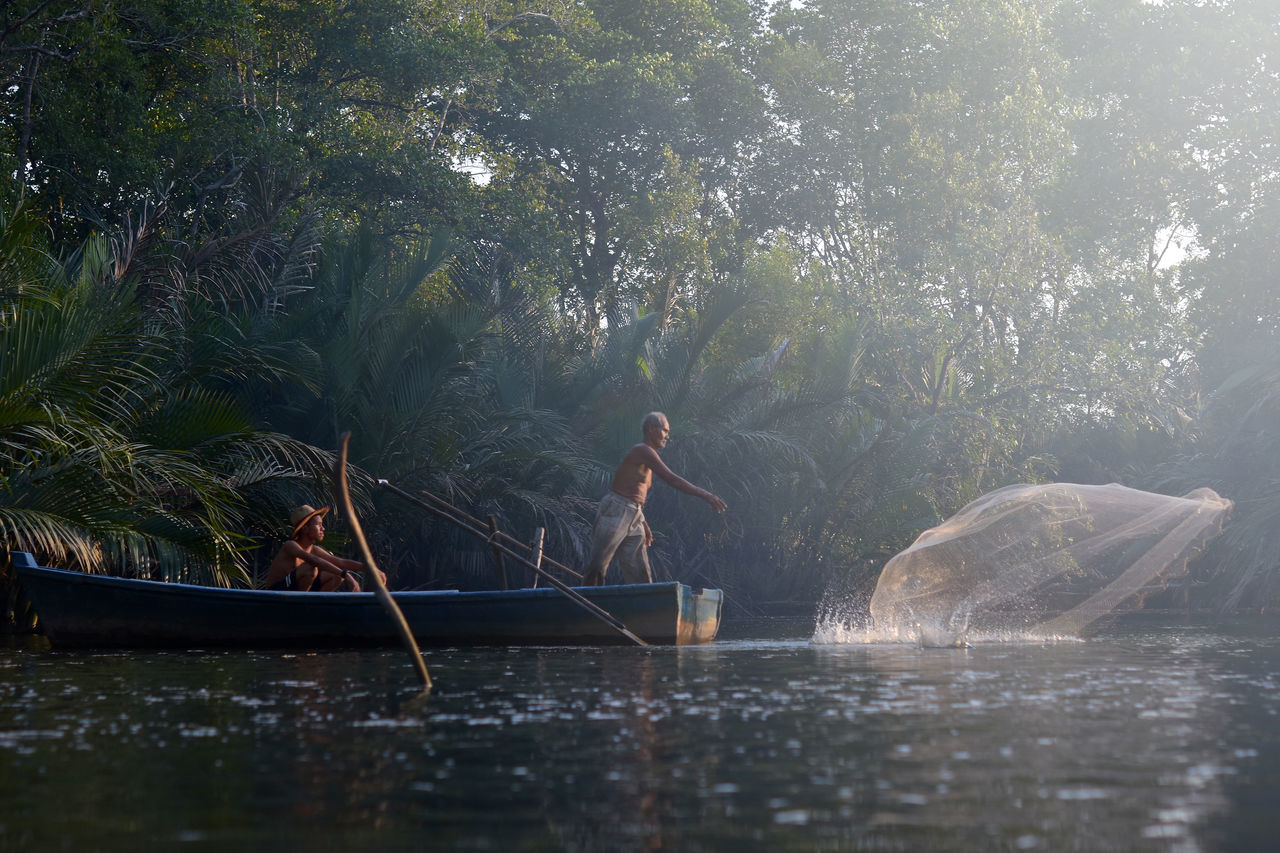 MAN SWIMMING IN LAKE AGAINST TREES IN FOREST