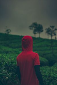 Moody view of man standing in a tea plantation 