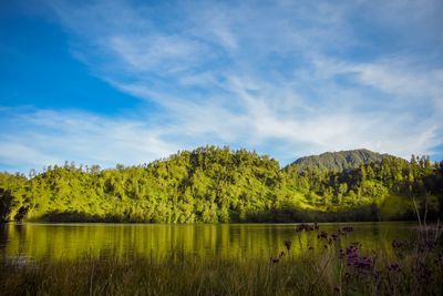 Scenic view of lake by trees against sky