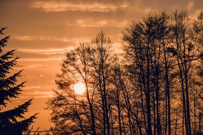 Low angle view of silhouette trees against sunset sky