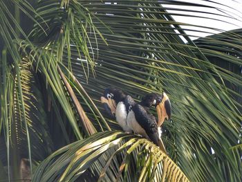 Close-up of bird perching on plant