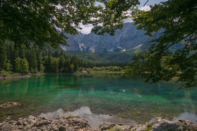 Summer view of fusine lake in the italian alps