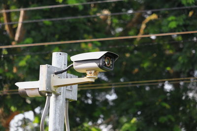 Close-up of coin-operated binoculars against railing