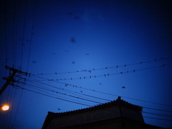 Low angle view of birds perching on power line