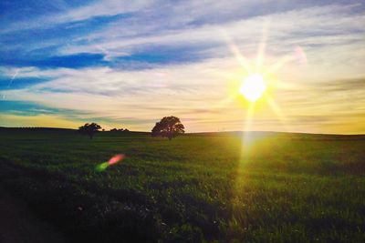 Scenic view of field against sky during sunset