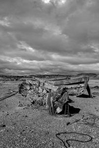 Scenic view of driftwood on beach against sky